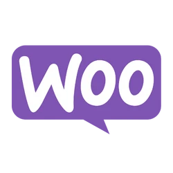 Professionele Woocommerce webshop laten maken door Site to Summit – gebouwd om te groeien.